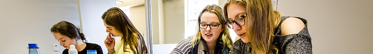 TESOL (Teachers of English to Speakers of Other Languages) 과정